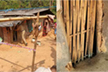 Four of a family found murdered in Kodagu